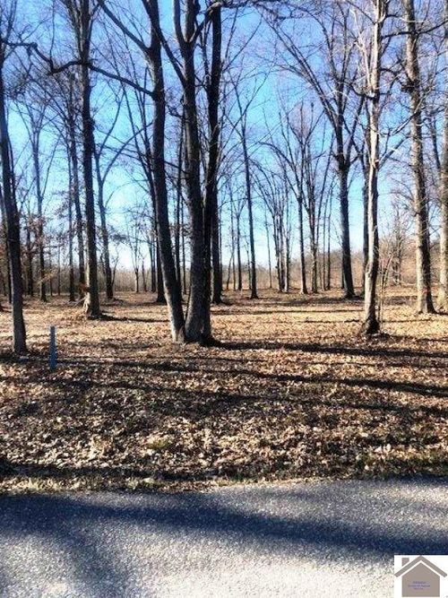 1915 Debby Dr, Paducah, KY, 42003-8506 | Card Image