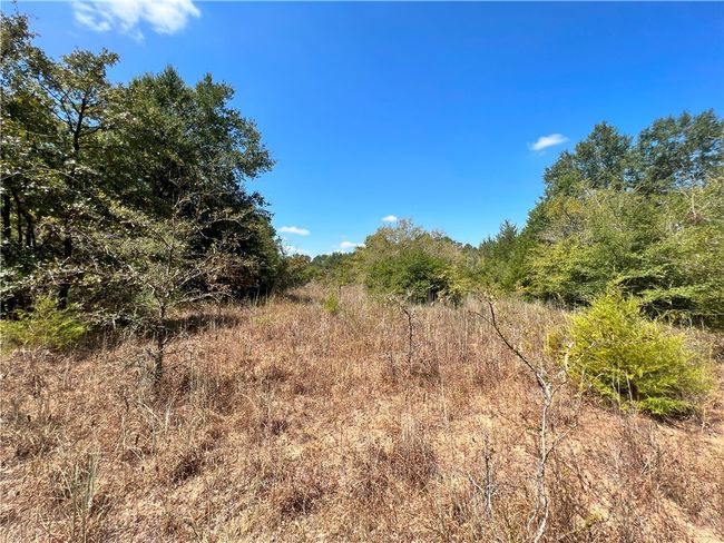 View of local wilderness | Image 6