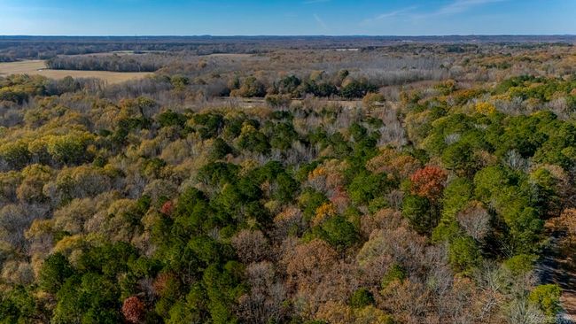 001-09449-000 Prysock Road, Home with 0 bedrooms, 0 bathrooms and null parking in Benton AR | Image 21