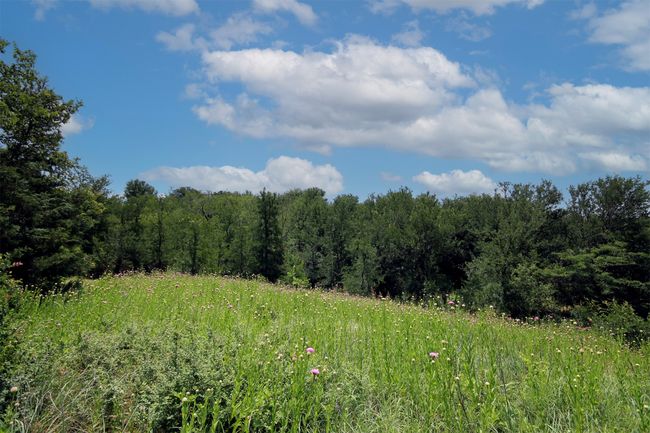 Corps of Engineers land is accessible by a gate and permitted path from the property. | Image 36