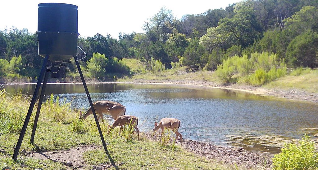 Land in Kerrville 5