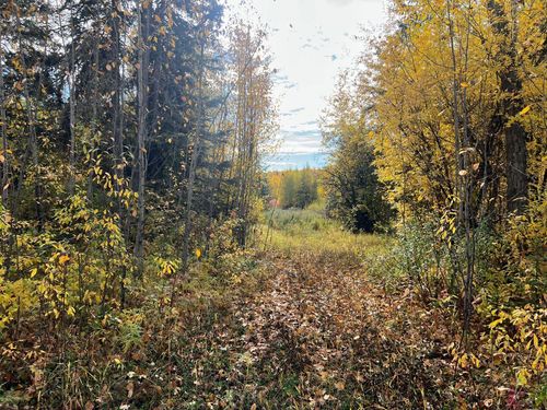 21-704010 Range Road 64, Grovedale, AB, T0H1X0 | Card Image