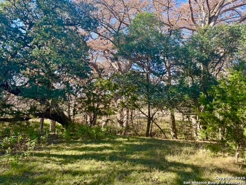 140 Spring Branch Dr, Leakey, TX, 78873 | Card Image