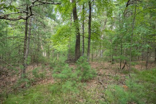Lot 130 W 19th Ave, Arkdale, WI, 54613 | Card Image