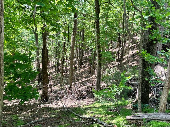 151 Powhatan Trl, House other with 3 bedrooms, 2 bathrooms and null parking in Fancy Gap VA | Image 42