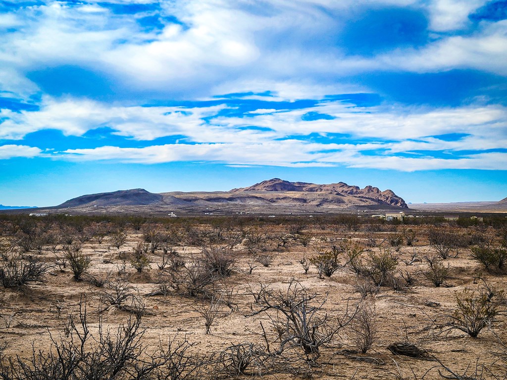 Land in Terlingua 3