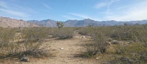 Lot 005 Nancy Dr, Yucca, AZ, 86438 | Card Image