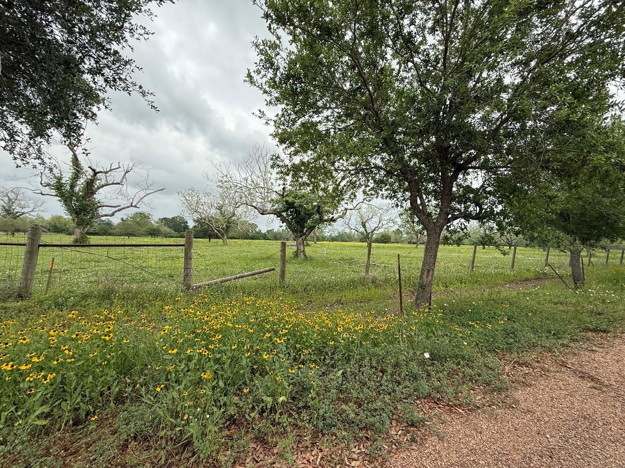Farm in Wharton 5