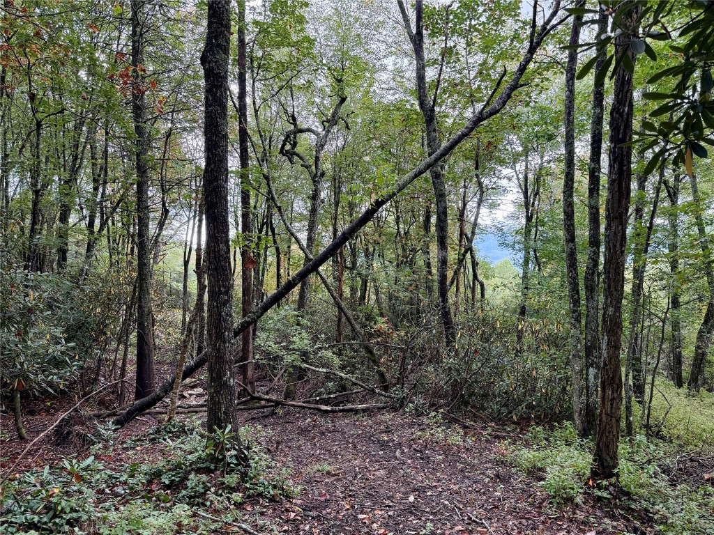 Land in Sapphire 5