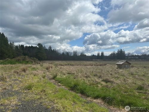 0 Nicholson Rd, Ethel, WA, 98542 | Card Image