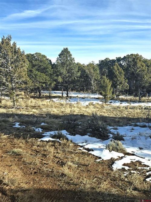 751 Mourning Dove Trl, Norwood, CO, 81423-5267 | Card Image