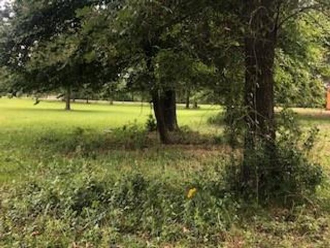 000 Counts Rd, Home with 0 bedrooms, 0 bathrooms and null parking in Pointblank TX | Image 4