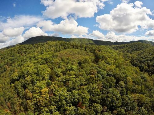 TBD Hogan Hollow Rd, Troutville, VA, 24175 | Card Image