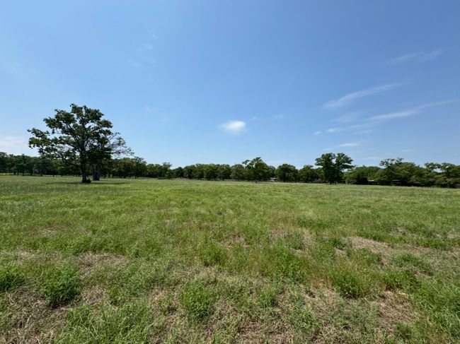 View of nature featuring a rural view | Image 9