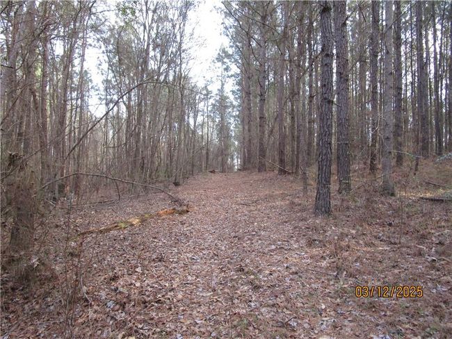 0 Obie Smith Road, Home with 0 bedrooms, 0 bathrooms and null parking in Atlanta LA | Image 11