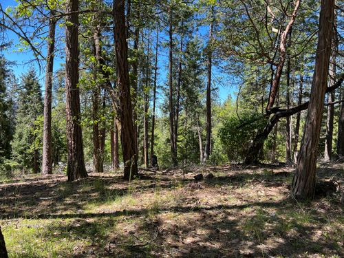 348 Flounce Rock Rd, Prospect, OR, 97536-9726 | Card Image