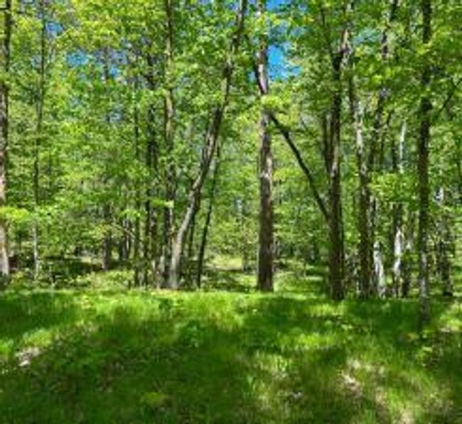 Lot 2-Image 3.jpg | Image 6
