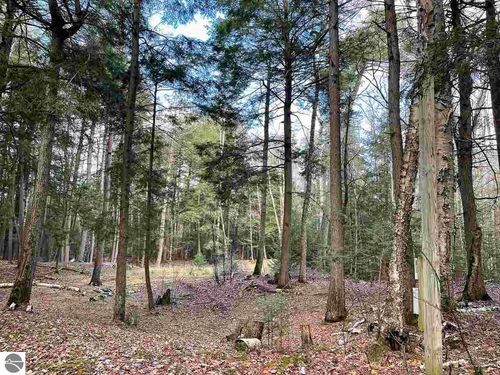 TBD East Side Drive, Beaver Island, MI, 49782 | Card Image