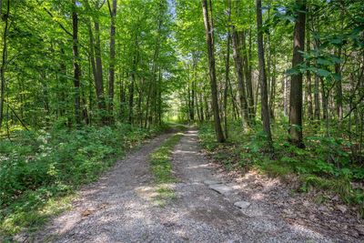 Driveway leading to the cabin | Image 2