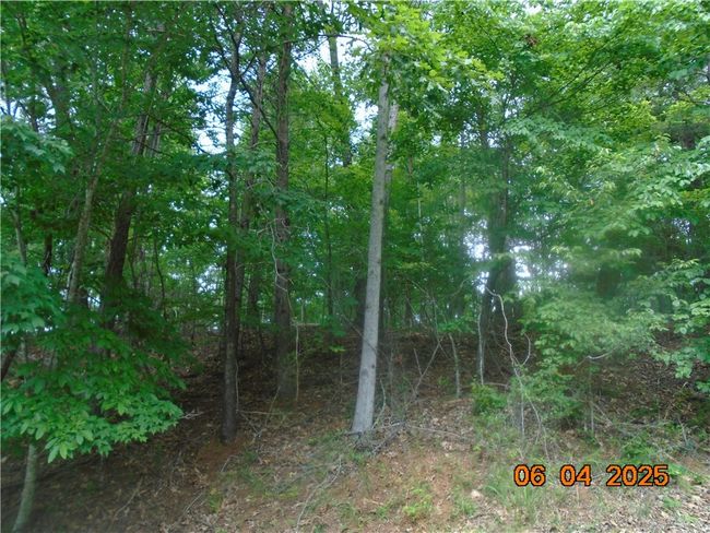 1000 E Cedar Creek Rd, Home with 0 bedrooms, 0 bathrooms and null parking in Sunset SC | Image 15