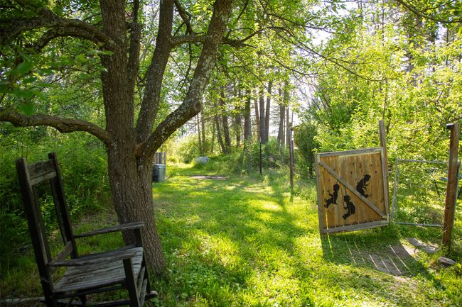 View of green lawn | Image 65