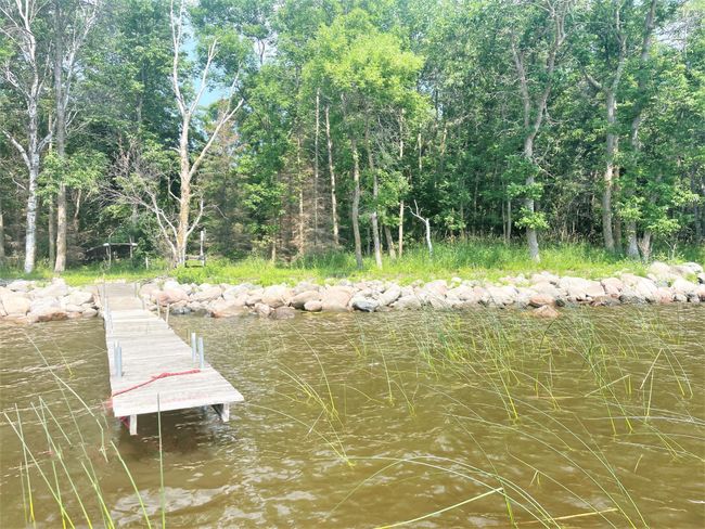 Dock/ Shoreline | Image 44