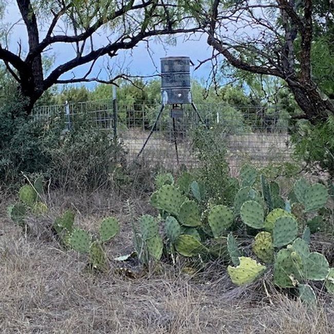 000 Private Rd 3922, Home with 0 bedrooms, 0 bathrooms and null parking in Miles TX | Image 11