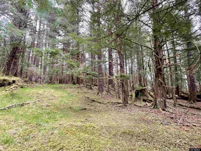 L3A &amp; 3B No Street Given, Home with 0 bedrooms, 0 bathrooms and null parking in Whale Pass AK | Image 14