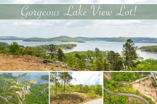 Lot 2 Grizzly Ridge Lane, Blue Eye, MO, 65611 | Card Image