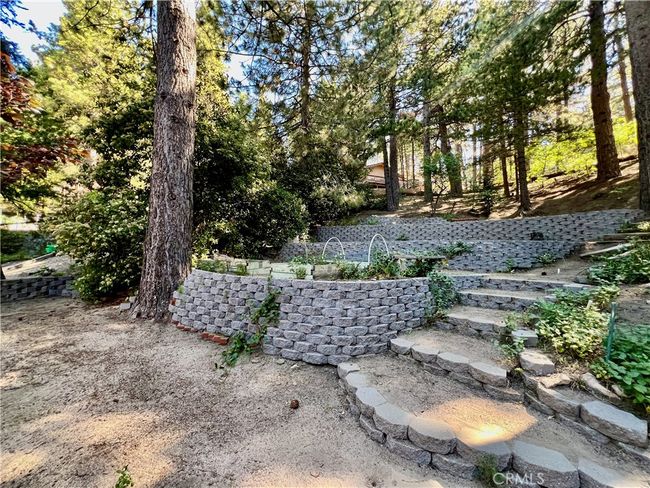 Back yard | Image 42