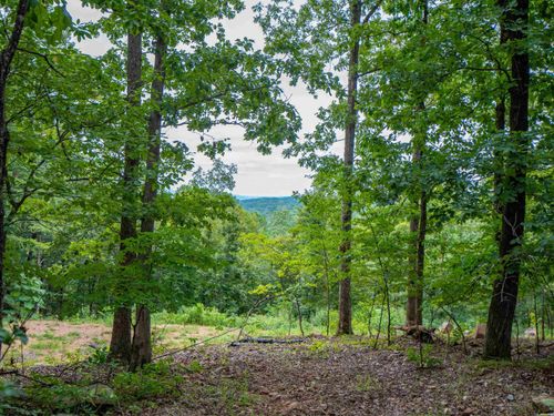 100 Block Spanish Mine, Jessieville, AR, 71909 | Card Image