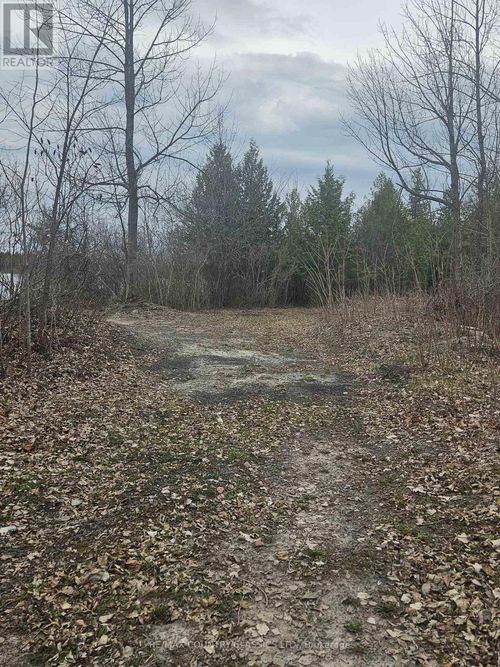 4166 Marlbank Rd, Tweed, ON, K0K3J0 | Card Image