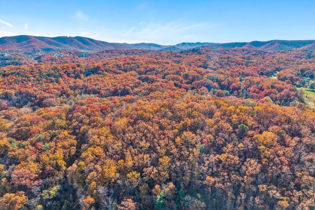 06-SGP-0017 | Image 9