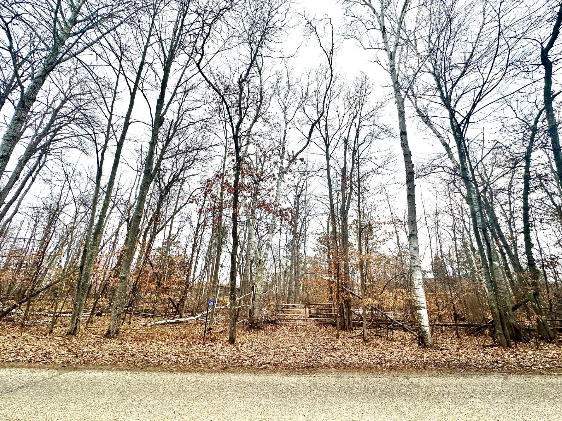 Land in Pequot Lakes 5