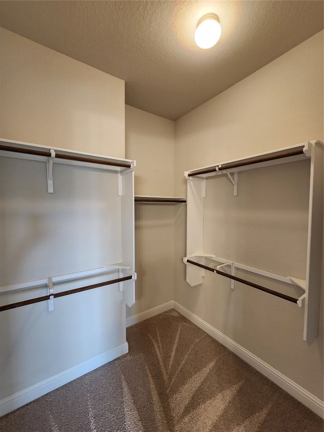 Spacious closet featuring carpet | Image 13