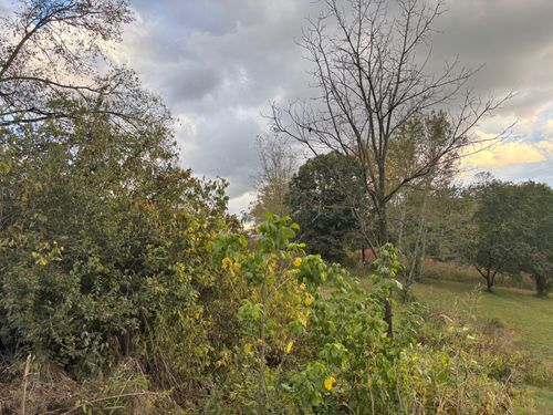 0 Mitchell Rd, New Market, TN, 37820 | Card Image