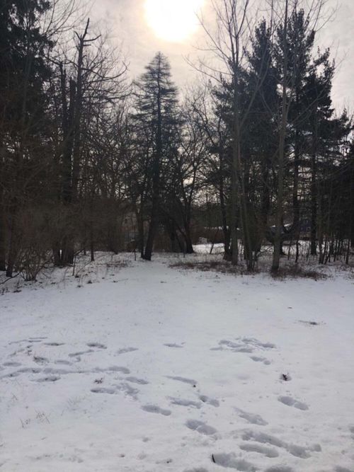 6711 W 134th Pl, Cedar Lake, IN, 46303 | Card Image