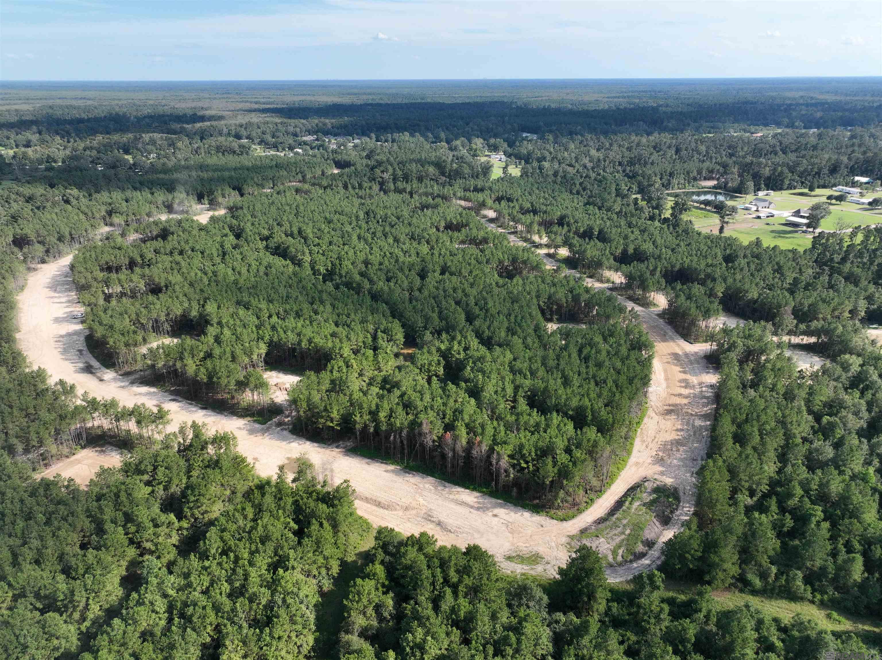 Land in Livingston 2