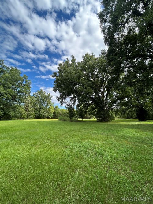 339 Darlington Rd, Camden, AL, 36726 | Card Image