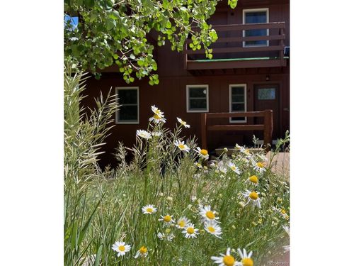 41 Poplar Cir, Silverthorne, CO, 80498 | Card Image