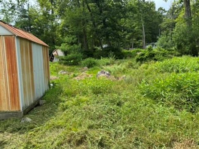 View of yard with a storage shed and a view of trees | Image 5