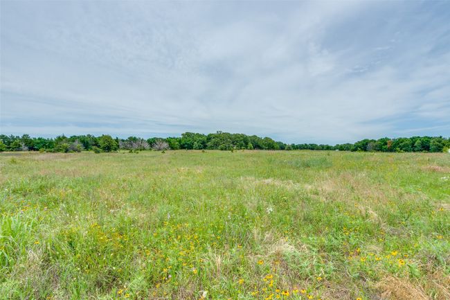 335 Country Rd, Home with 0 bedrooms, 0 bathrooms and null parking in Whitesboro TX | Image 7