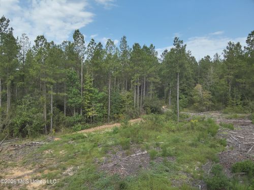 769 Ms-43, Oak Vale, MS, 39656 | Card Image