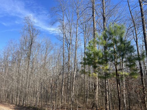 lot-121-240 War Eagle Dr, Cedar Grove, TN, 38321 | Card Image