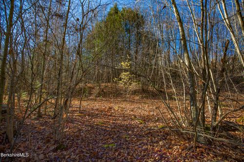 0 Goose Pond Rd, Tyringham, MA, 01264 | Card Image