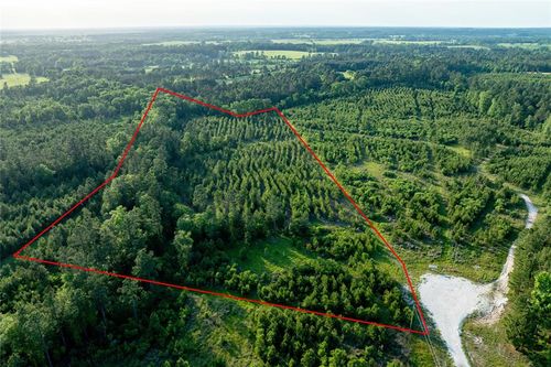 171 Calhoun Ct, Lovelady, TX, 75851 | Card Image