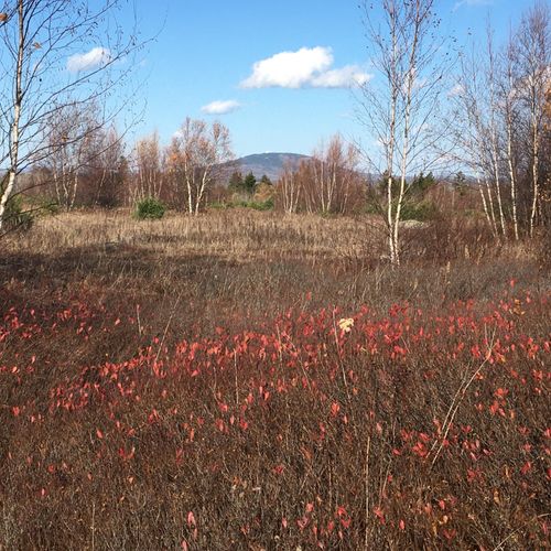802 Sedgwick Ridge Road, Sedgwick, ME, 04676 | Card Image
