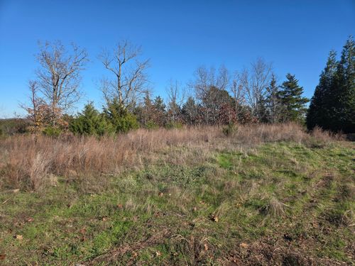 113 Black Forest Ln, Branson West, MO, 65737-7818 | Card Image