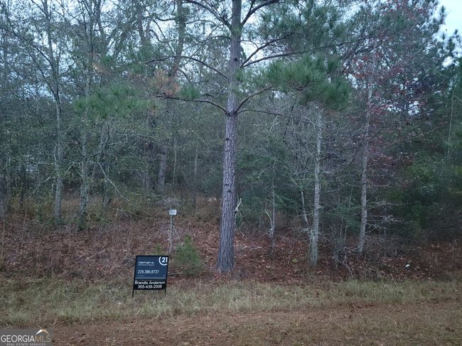 121 Case Rd, Home with 0 bedrooms, 0 bathrooms and null parking in Sylvester GA | Image 5