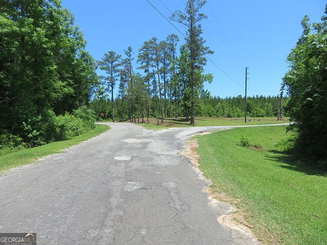 1 Cool Branch Rd, Home with 0 bedrooms, 0 bathrooms and null parking in Georgetown GA | Image 6